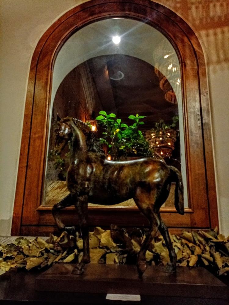 The Essentia Hotel San Miguel San Miguel de Allende Exterior photo